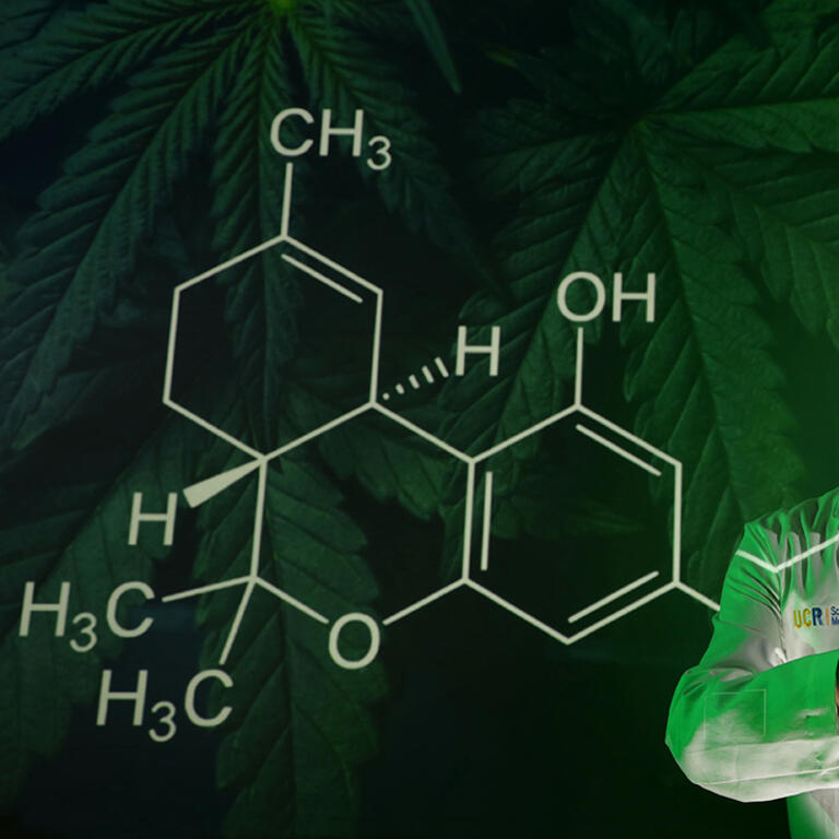 cannabinoid chemical drawing