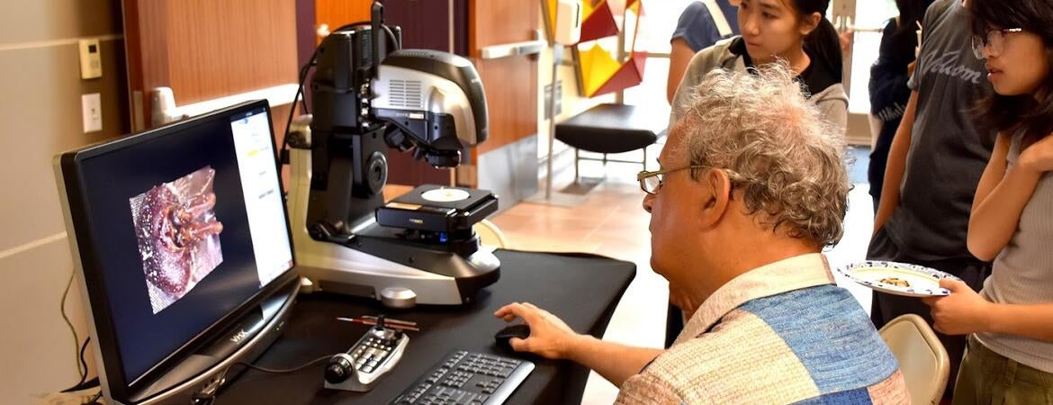 demonstrating a microscope