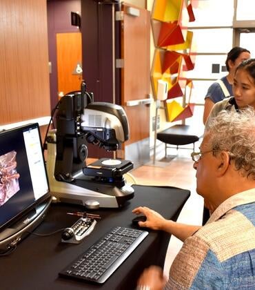 demonstrating a microscope