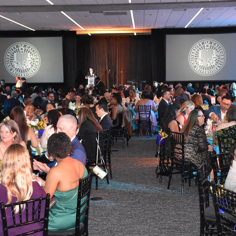 Attendees at the 2023 gala