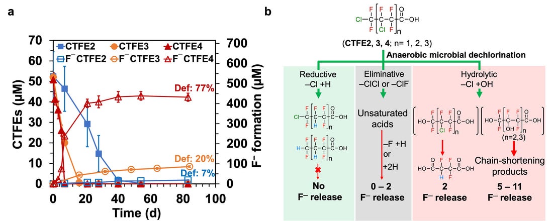  Substantial defluorination of polychlorofluorocarboxylic acids triggered by anaerobic microbial hydrolytic dechlorination