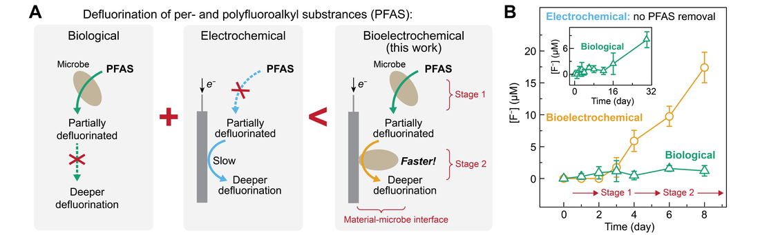 Synergistic material-microbe interface toward deeper anaerobic defluorination