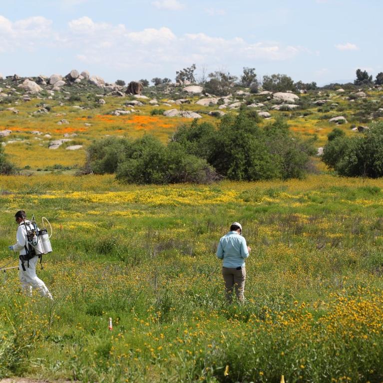 Field trip to Motte Rimrock Reserve