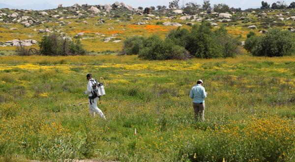 Field trip to Motte Rimrock Reserve