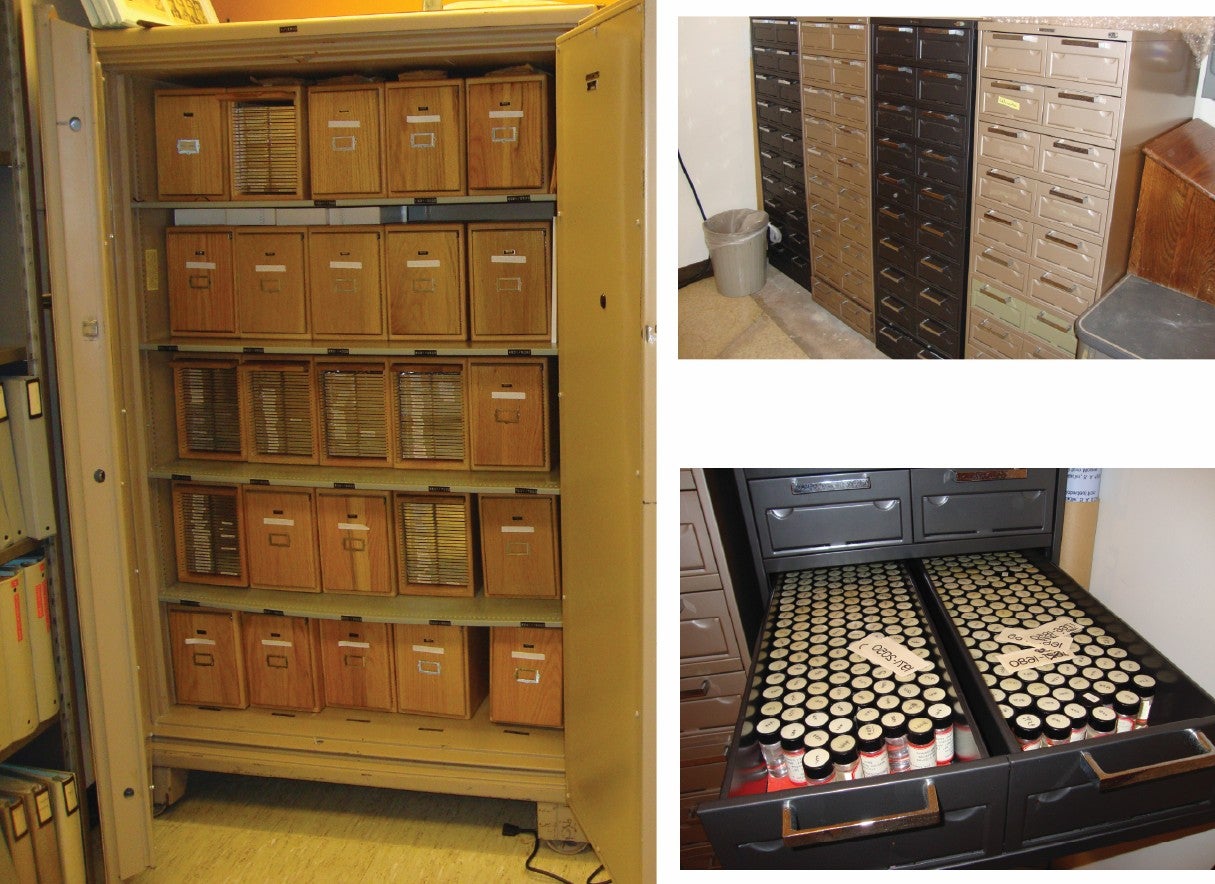 Pictures of the Physical Collection at UCR.