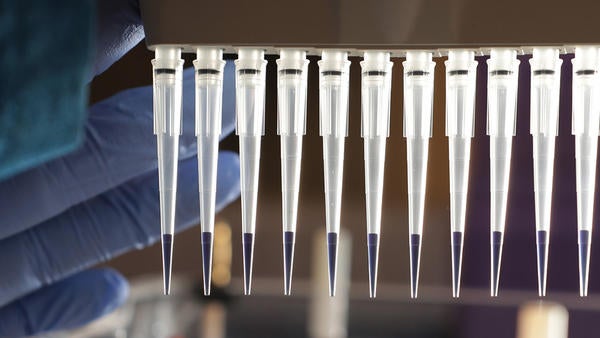 pipettes (c) UCR / CNAS