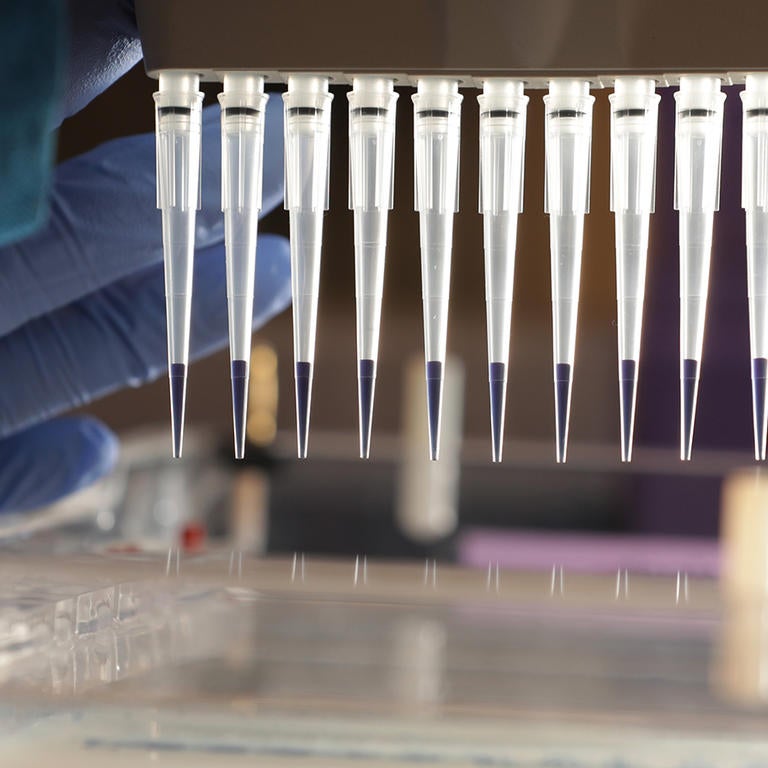 pipettes (c) UCR / CNAS