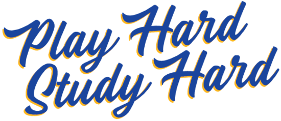 Play Hard Study Hard