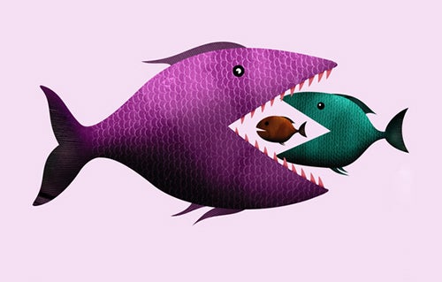 Big fish eating little fish