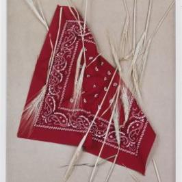 Annette Kelm, “Paisley and Wheat Red,” 2013 COURTESY OF THE ARTIST AND MARC FOXX, LOS ANGELES