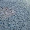 sea ice