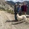 The Cranor family (L-R): Chris, Crystal, Taylor, and their dog Luna Mer on 1881 railroad grade for Denver and South Park Pacific RR. (Photo courtesy of Carl Cranor)