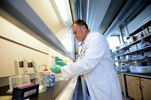 Maurizio Pellecchia in the lab. Credit: Carrie Rosema.
