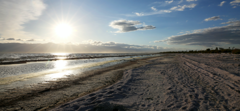 Salton Sea