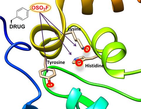 Targeting cancer cells