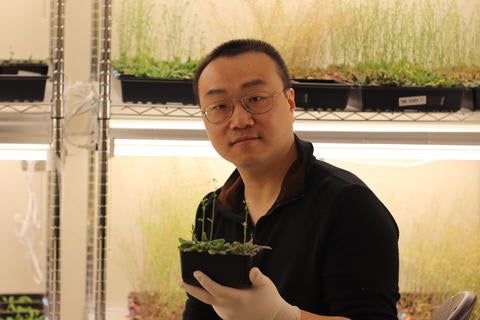 Paper first author in the laboratory