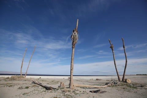 Salton Sea