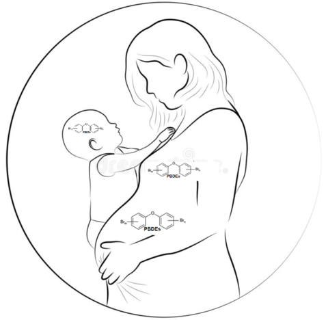 Mother child PBDEs