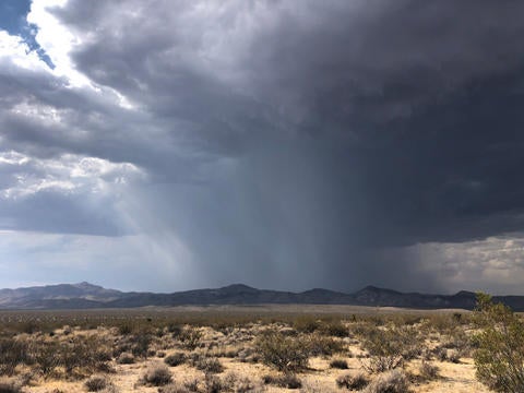 Rain clouds over the desert