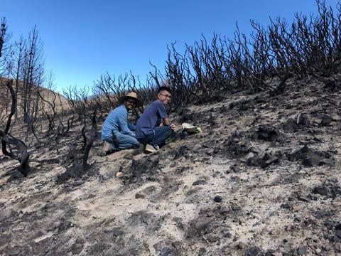 soil sampling at Holy Fire site