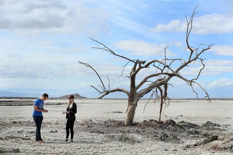 Researchers at the Salton Sea