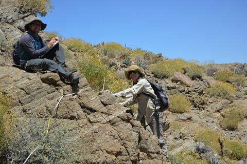 plant sampling in the desert