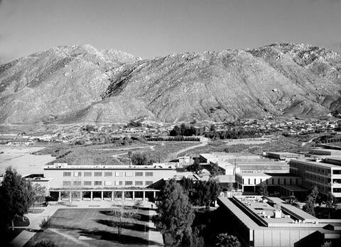 Box Springs Mountain