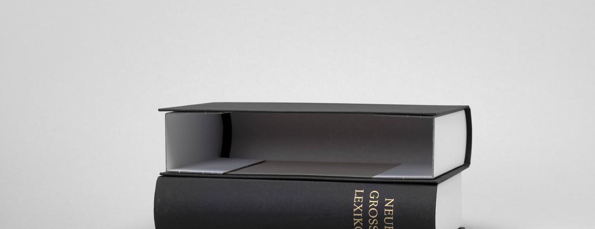 Kim Schoen, “New Large Dictionary,” 2017 Courtesy of the artist and Moskowitz Bayse, Los Angeles