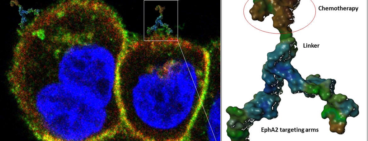 cancer targeting agent