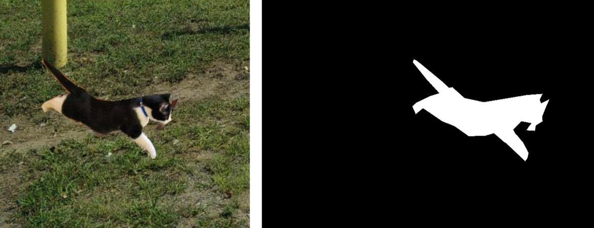 Boundary of a cat inserted into an image