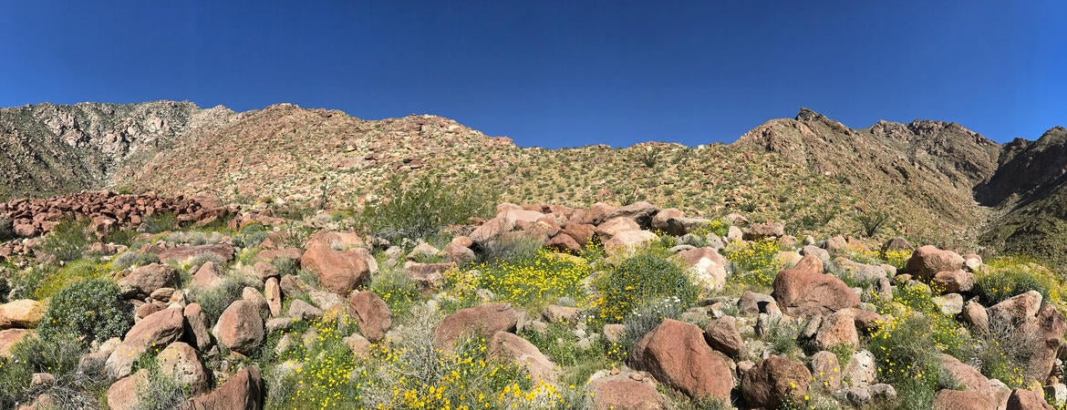 A mountain range in the Anza Gap