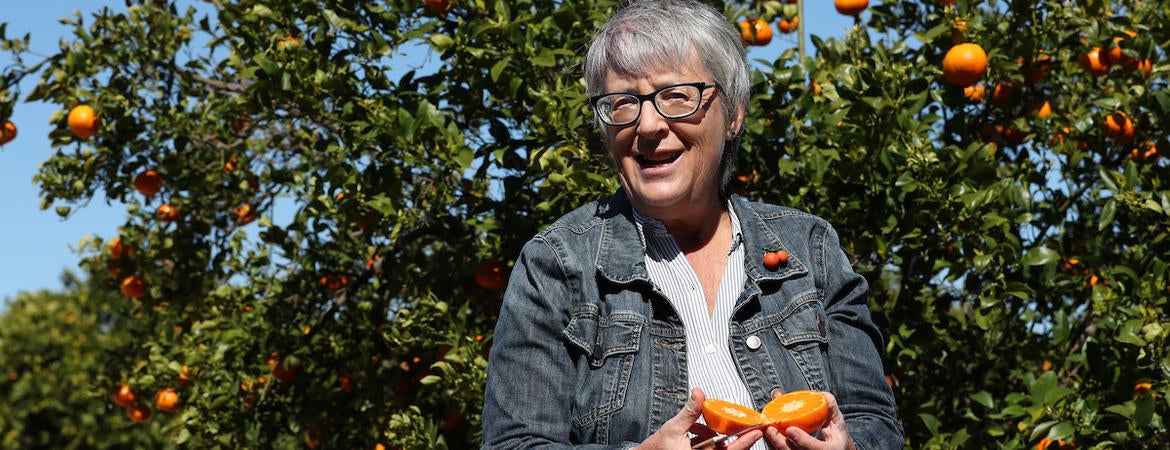 Tracy Kahn, curator of the UC Riverside’s Givaudan Citrus Variety Collection, standing in the orange groves