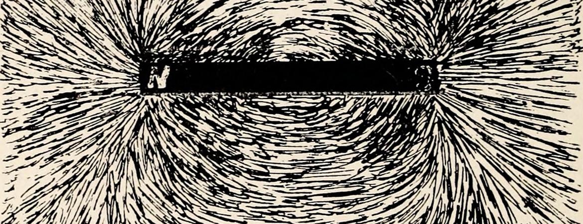 Iron fillings organized around the north and south poles of a magnet