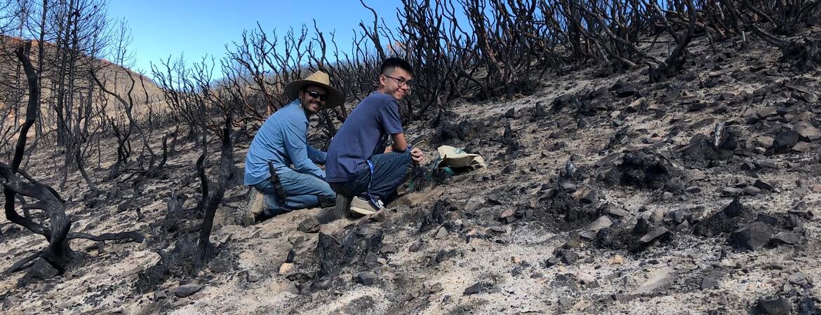 soil sampling at Holy Fire site