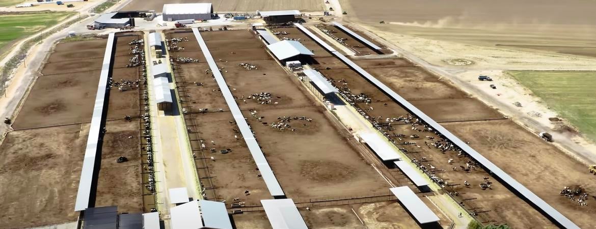An aerial view of a dairy farm in Southern California