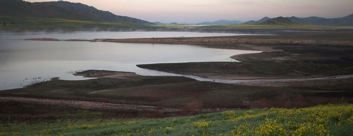 Lake Success in 2015