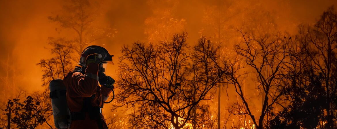 firefighter and wildfire