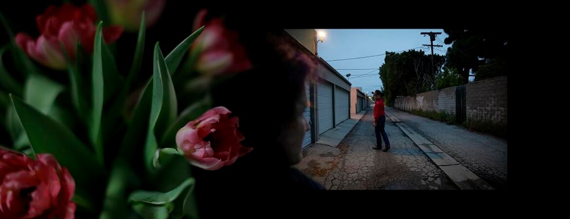 Telling Them Apart exhibition