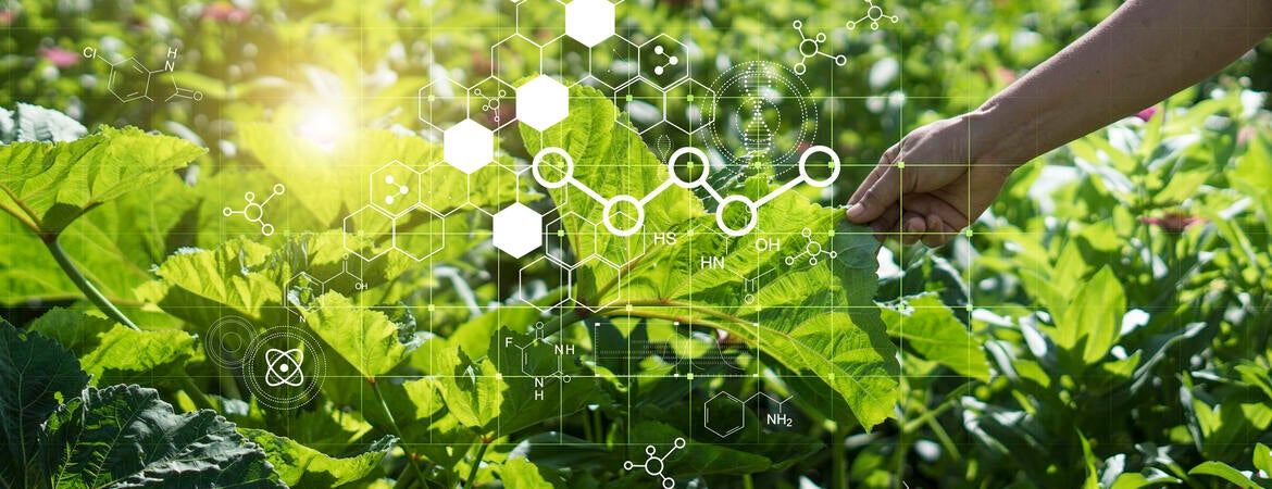farming with molecular chemistry