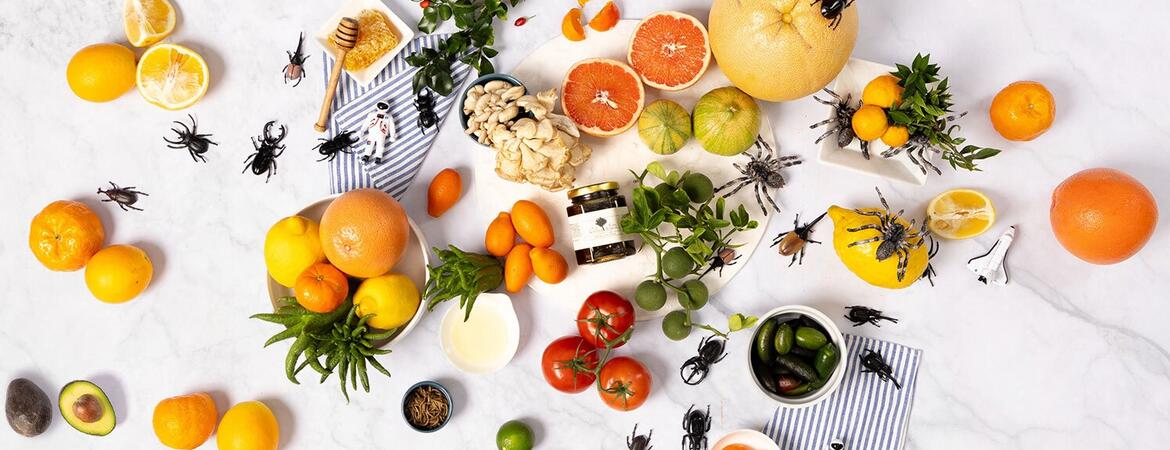 UCR Magazine Summer 2024 cover