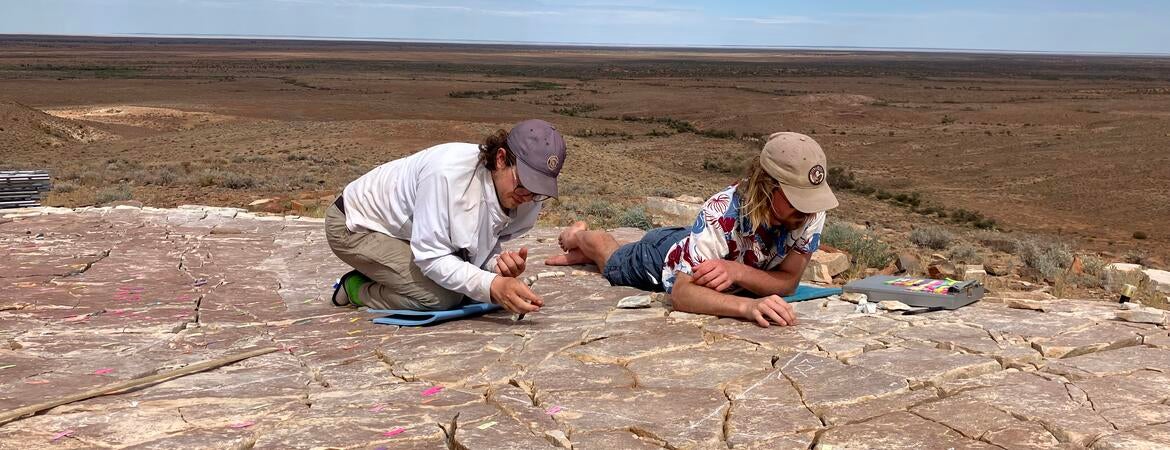 Scott Evans and Ian Hughes excavating a fossil bed at Nilpena National Park.