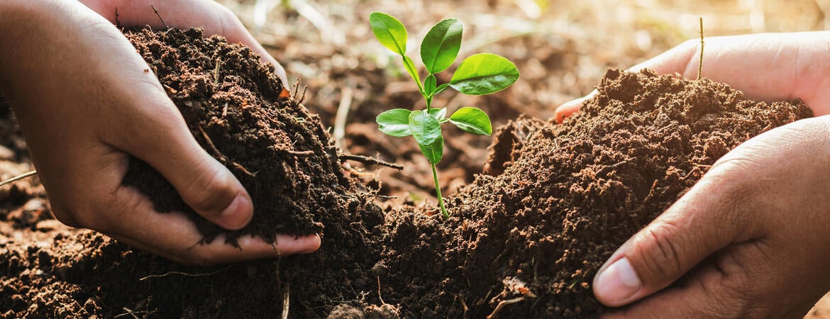 Sustainable agriculture. Shows two hands and a plant in between.
