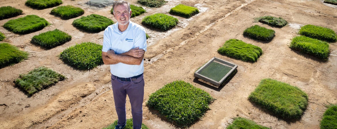 Jim Baird standing on a plot of Coachella turfgrass