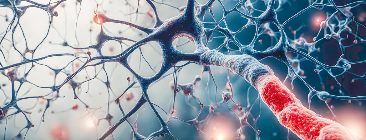 Neural network brain cells