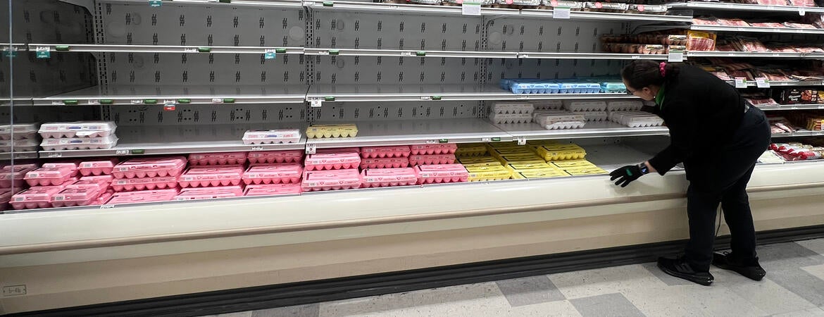 egg shortages
