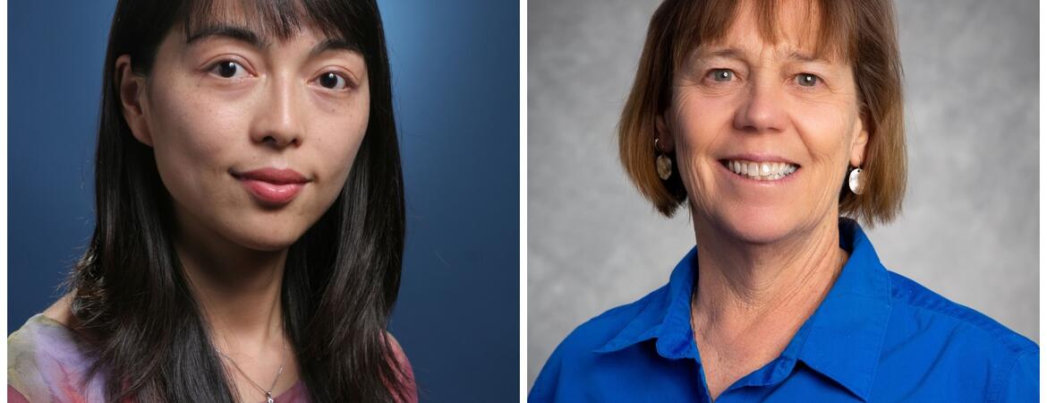 Hailing Jin and Mary Droser