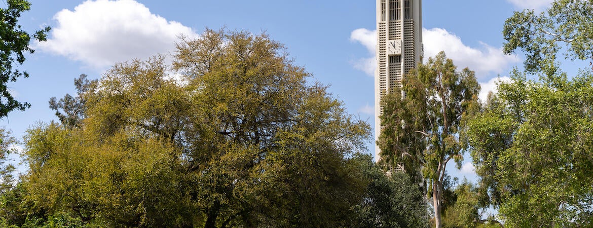 Pierce Lawn on campus