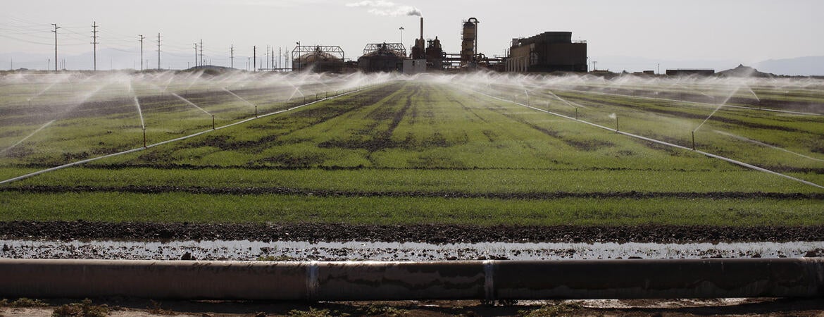 Water use on an Imperial Valley farm.