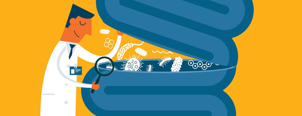 Doctor looking into a gut