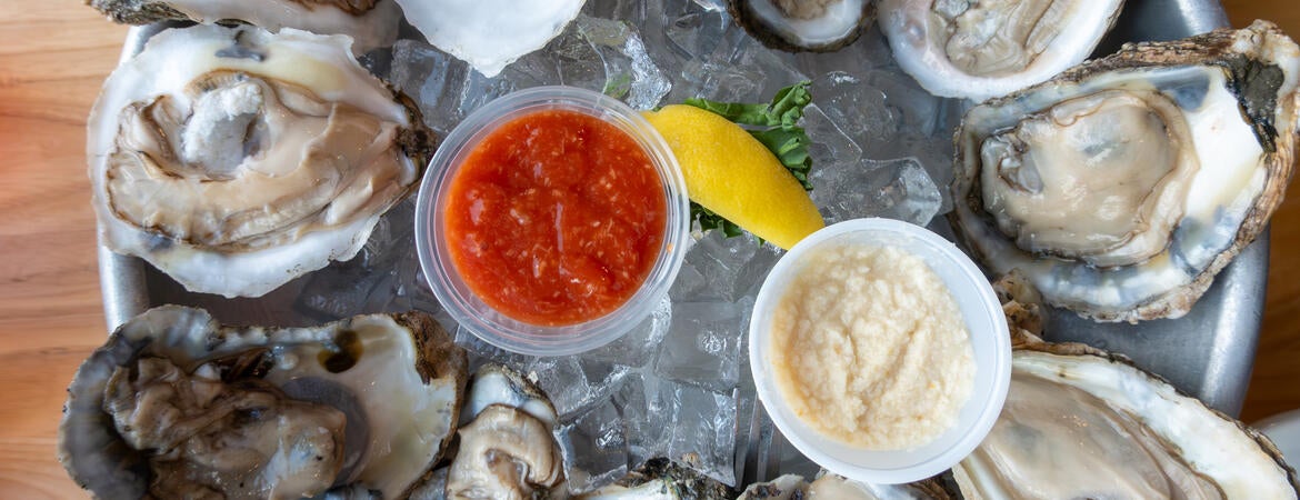 oysters on a plate